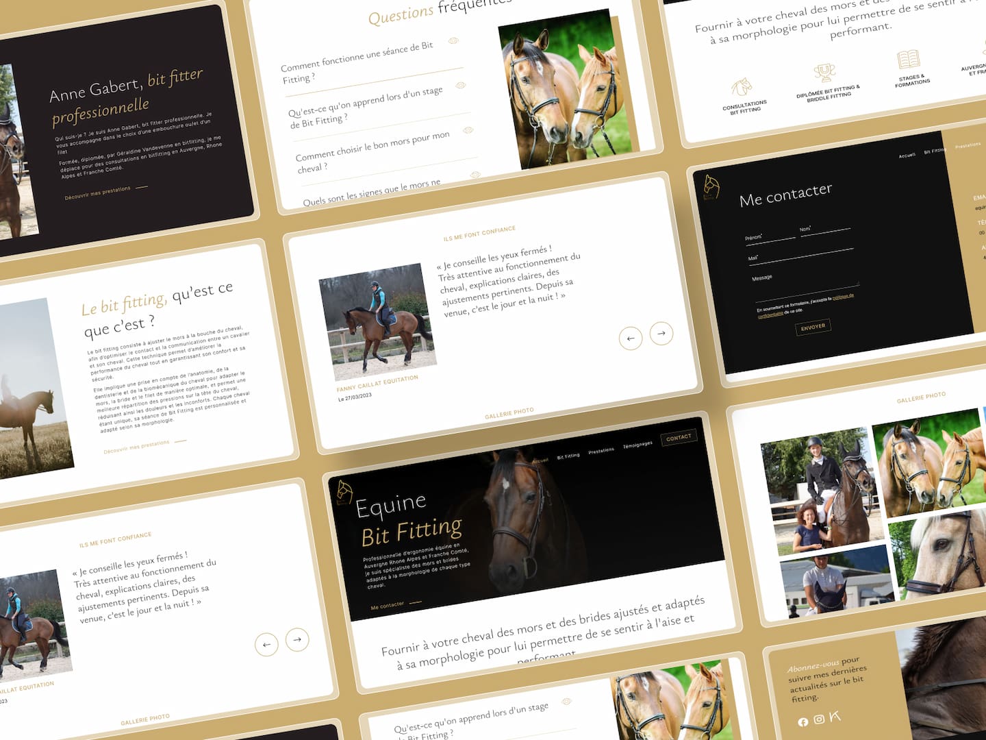 Les pages du site web de luxe pour Equine Bit Fitting