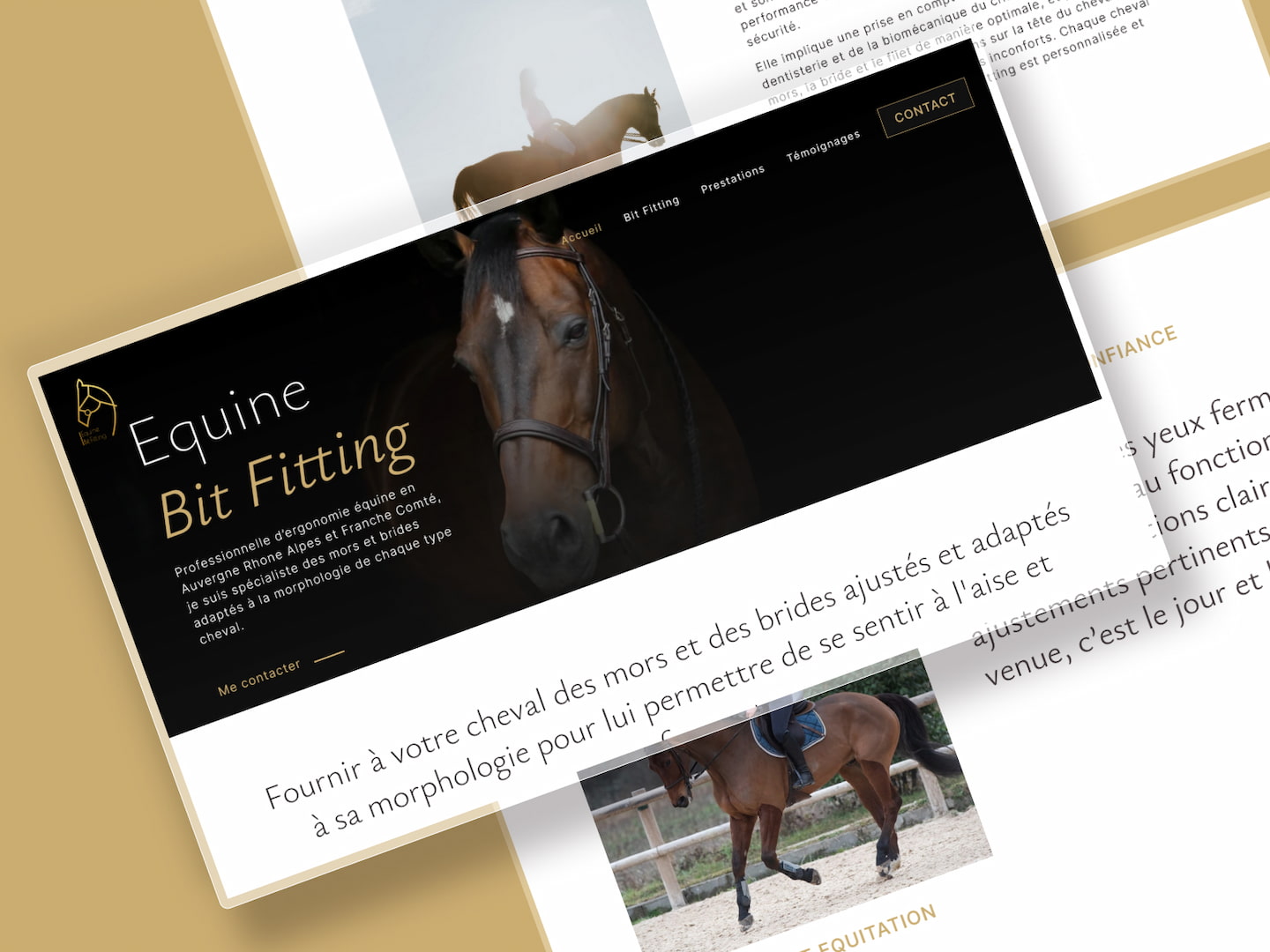 La présentation du site web présentant un cheval pour Equine Bit Fitting