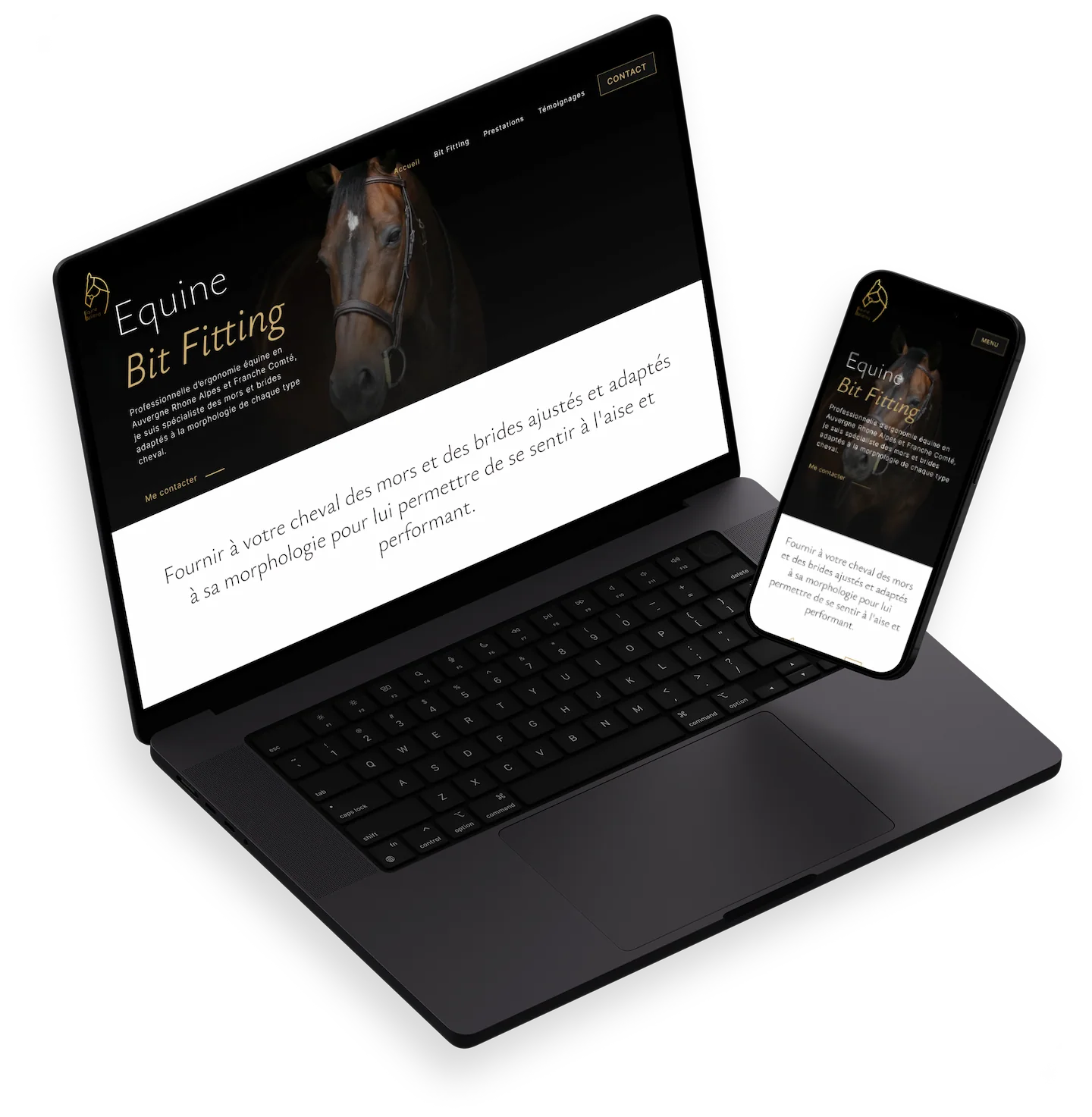 fluffy agency site web creation du site web equine bit fitting desktop et mobile