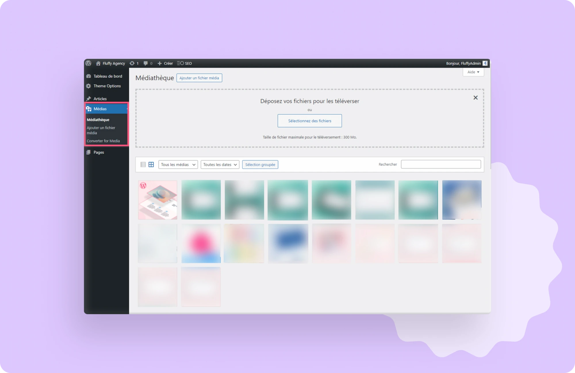 Capture d'écran de la médiathèque du back office WordPress, avec le menu "Médias" entouré