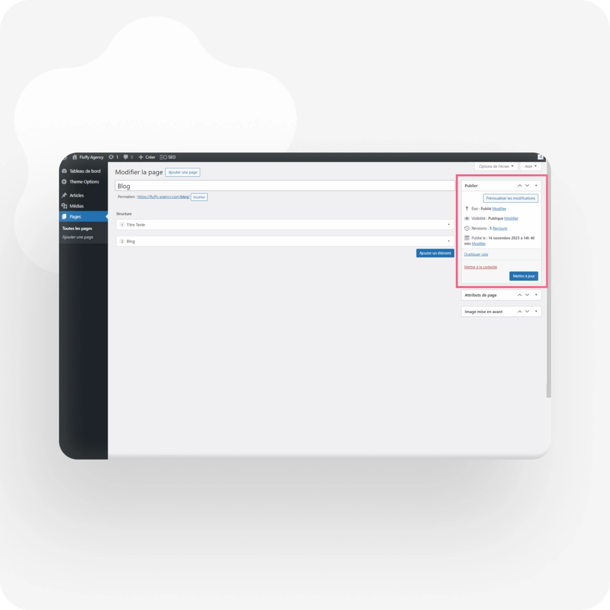Capture d'écran du back office WordPress, avec l'encart Publier entouré