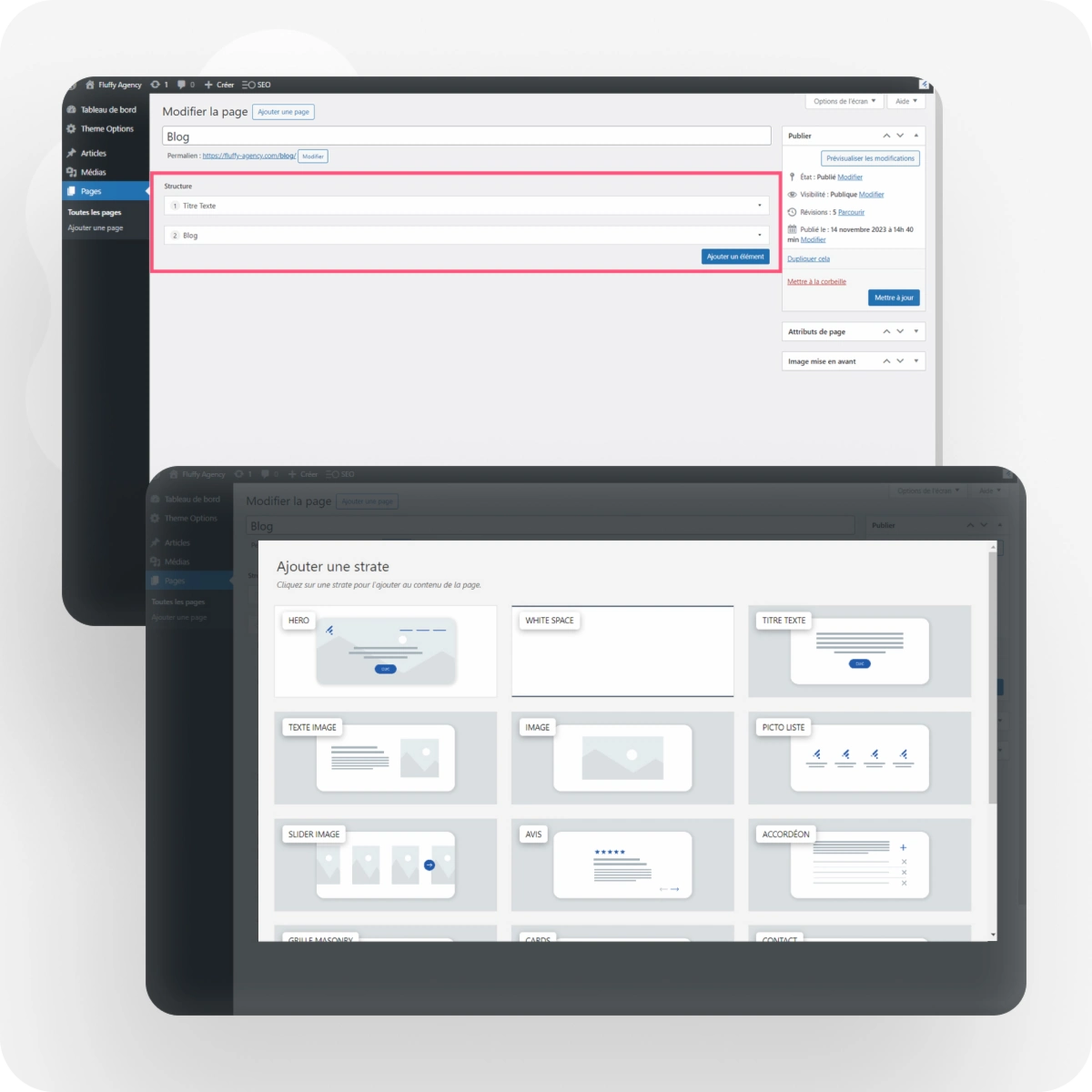 Deux écrans du back office WordPress, avec l'encart "Structure" entouré et la présentation en grille des modules