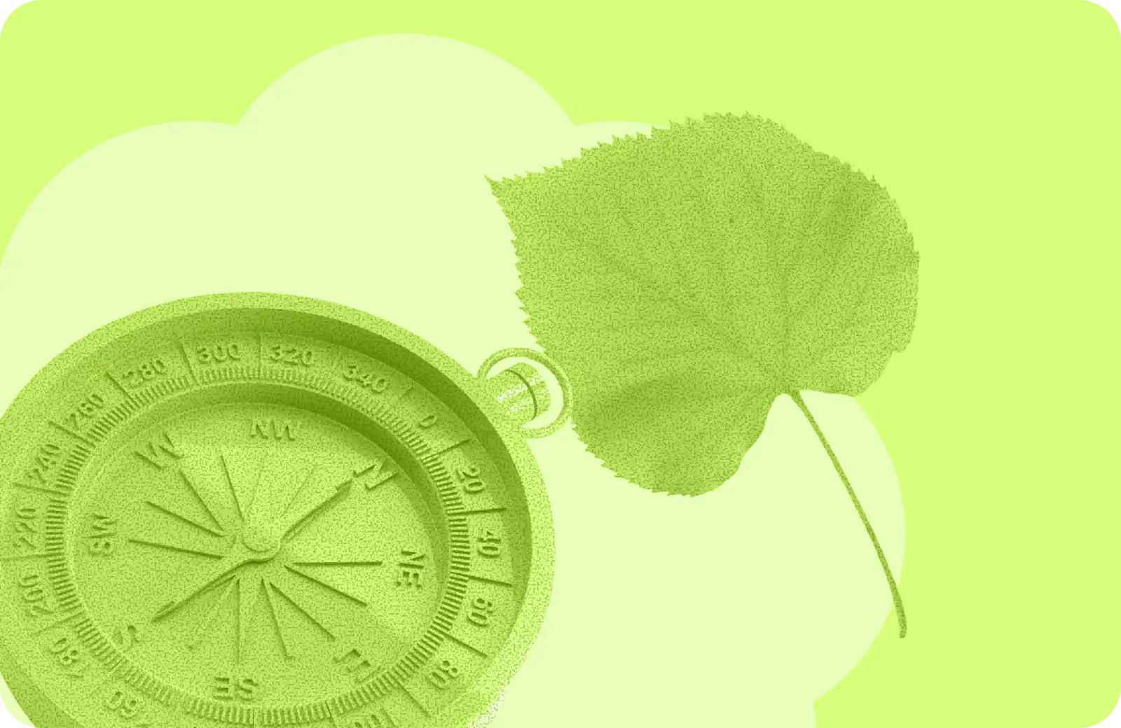Objets flottant : une boussole et une feuille d'arbre
