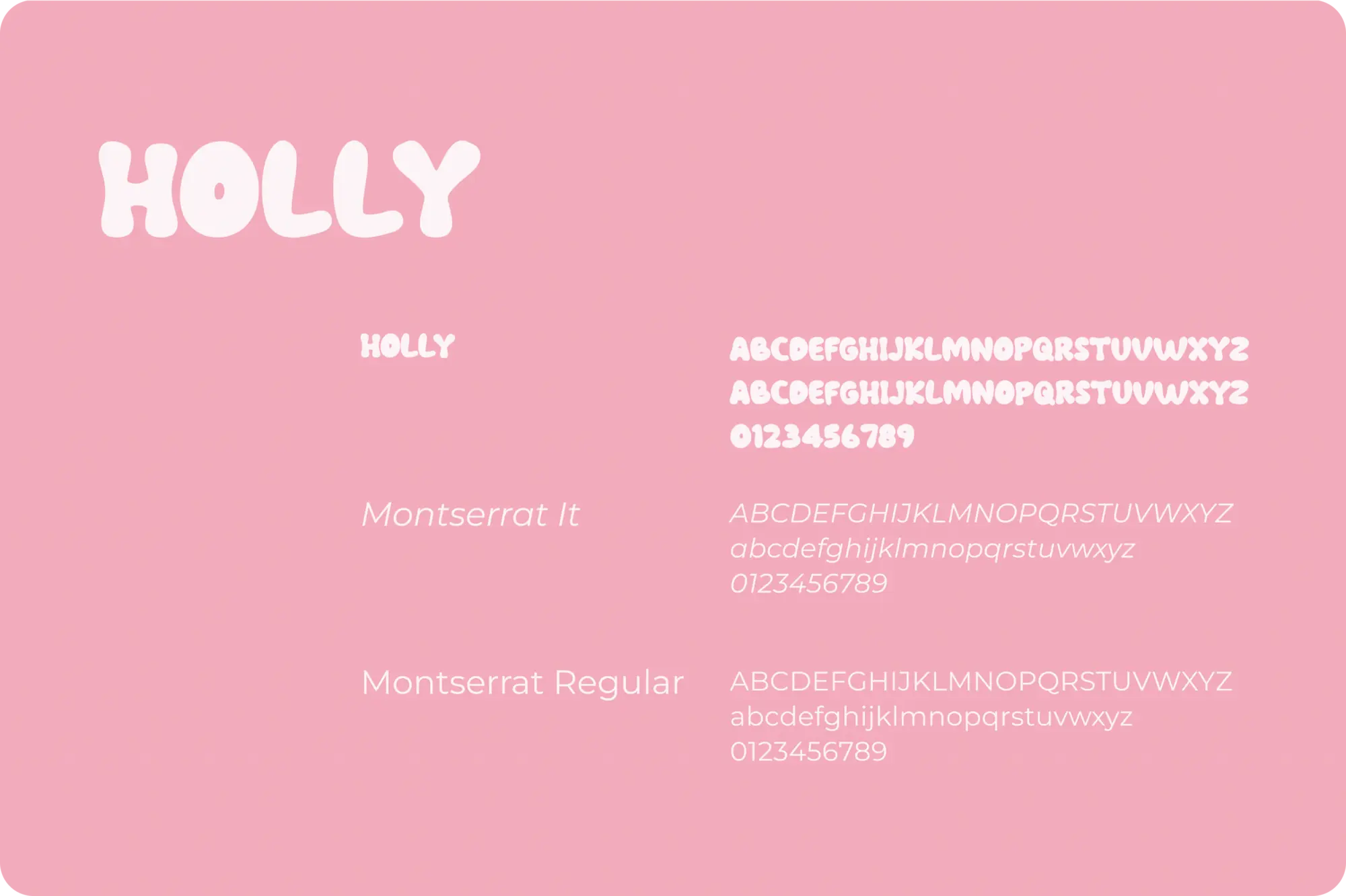Présentation des typographie de la charte graphique de Bunny Hat : Holly et Montserrat