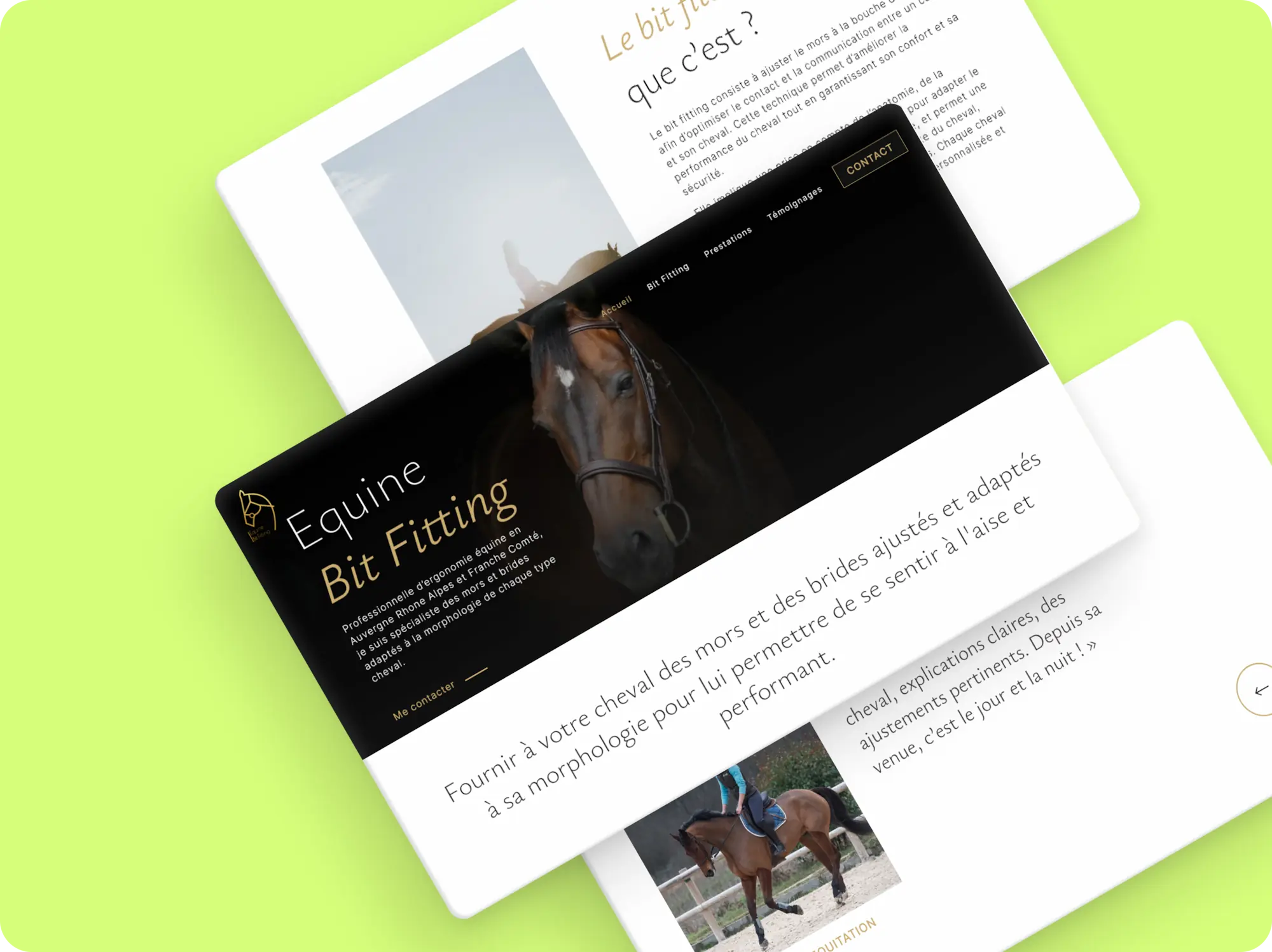 3 écrans superposés de la page d'accueil du site web d'Equine Bit Fitting