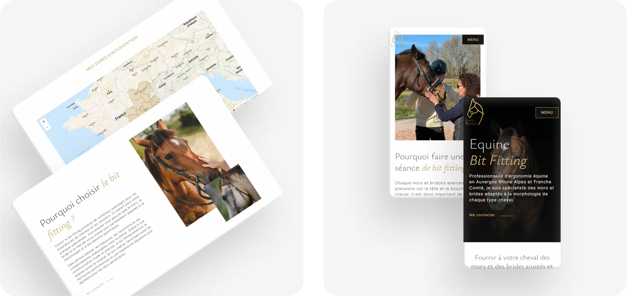 Présentation de captures d'écrans du site vitrine d'Equine Bit Fitting : carte, textes de présentation et images de chevaux