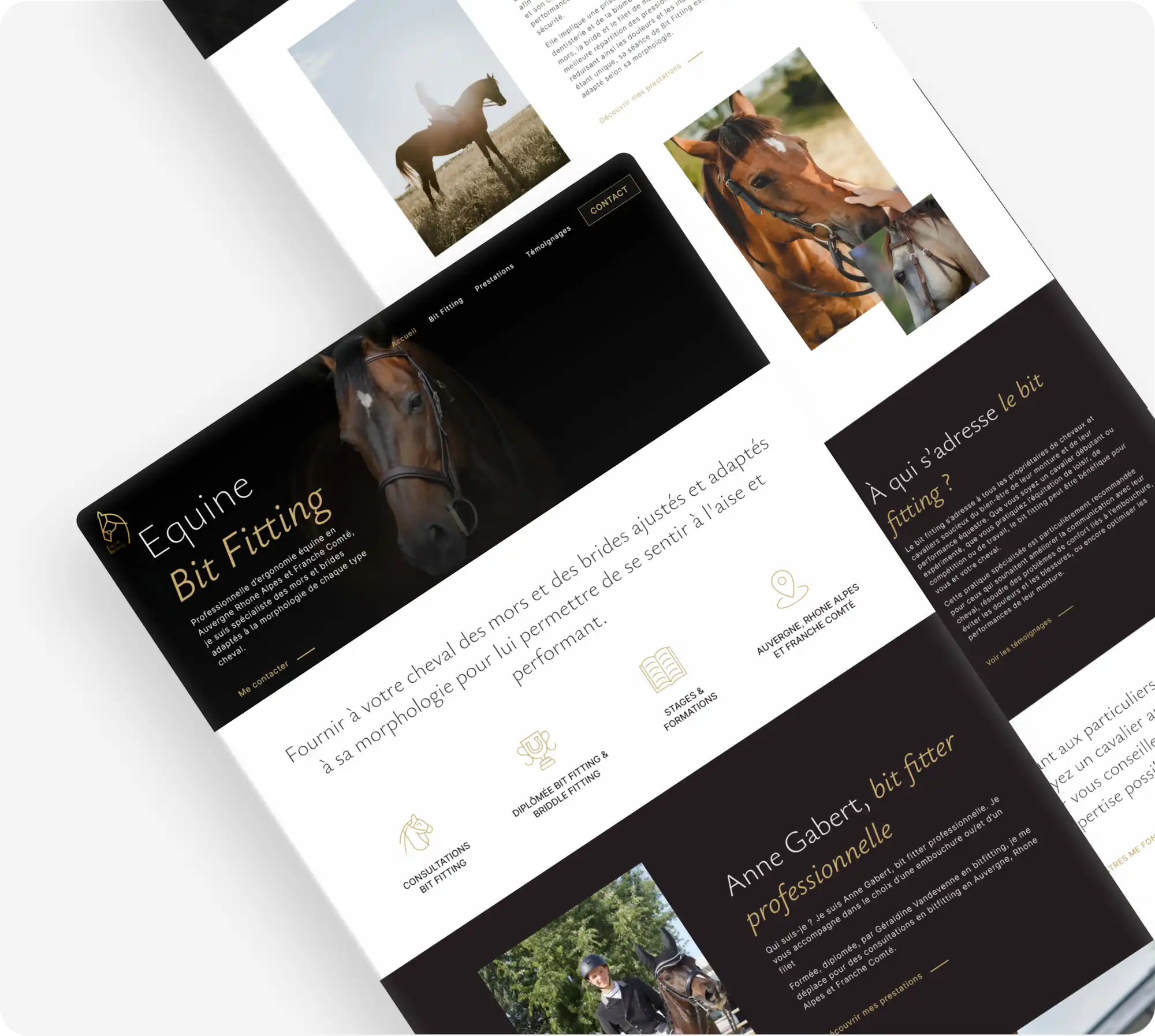 Webdesign de la page d'accueil de Equine Bit Fitting
