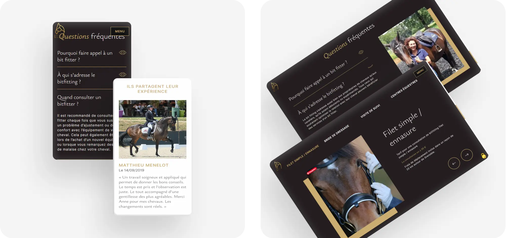 Présentations de captures d'écrans pour Equine Bit Fitting vue mobile et desktop : FAQ, avis, slider des services