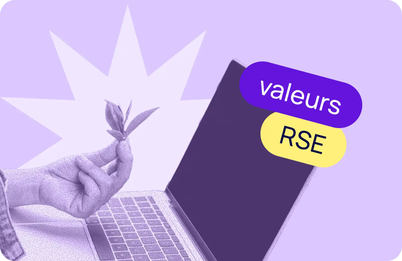 Main tenant une pousse végétale au-dessus d'un clavier d'ordinateur en monochrome violet, avec deux étiquettes superposées - violette "valeurs" et jaune "RSE" - visuel d'illustration pour un article sur la responsabilité sociale et environnementale en agence web